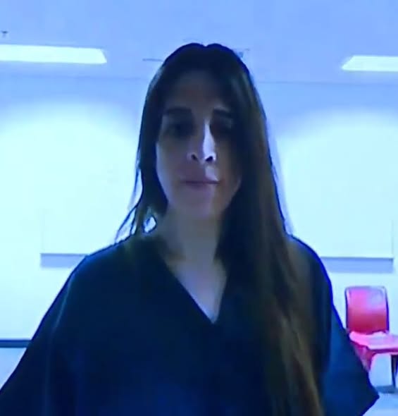 Allison Howlett, Transgender, Terrorism Charges Las Vegas Police Arrest Suspect Of mass shooting plot